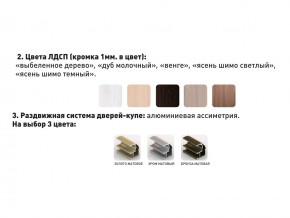 Шкаф-купе Акцент-Сим Д 2400-600 шимо тёмный в Нефтеюганске - nefteyugansk.magazinmebel.ru | фото - изображение 3